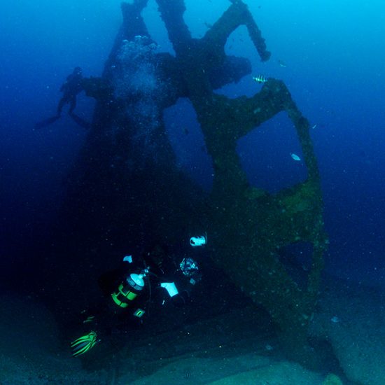 Nebo Wreck Dive at Aliwal Shoal