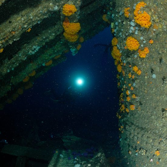 diver shining torch through gap of Produce wreck at Aliwal Shoal
