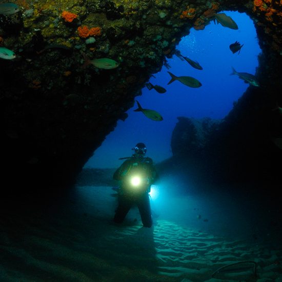 diver kneeling on sand bottom of Produce wreck at Aliwal Shoal