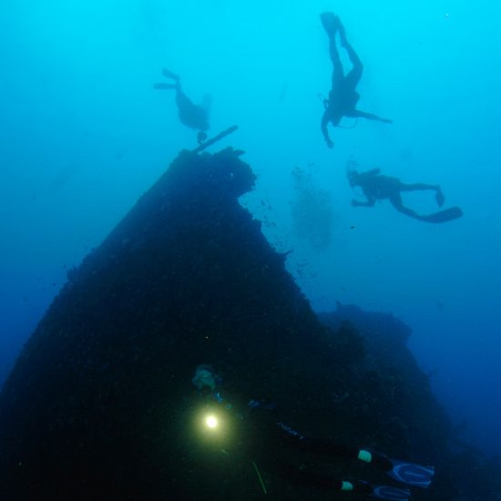 divers amongst the Produce Wreck at Aliwal Shoal