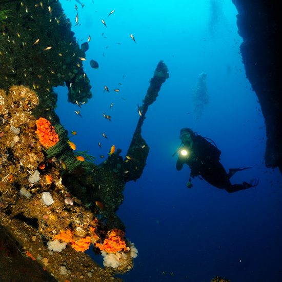 Produce Wreck Dive at Aliwal Shoal
