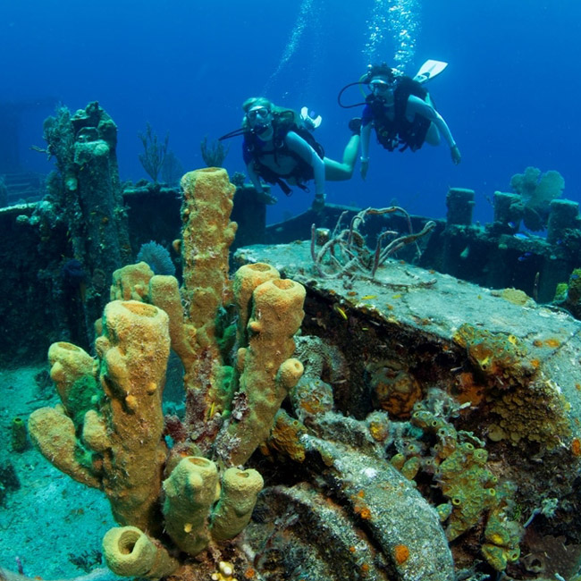 scuba divers diving wreck on Aliwal Shoal
