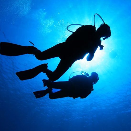 below shot view of scuba divers in ocean