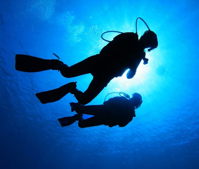 below shot view of scuba divers in ocean