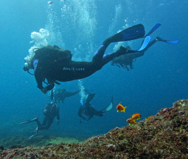 group of scuba divers underwater