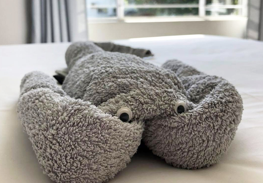 towel shaped into sea creature
