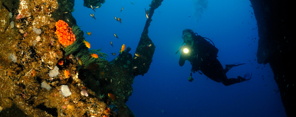 Diver exploring the MV Produce Wreck Umkomaas